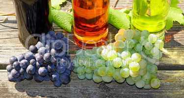 Weintrauben und Wein