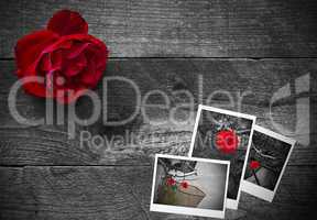 Red rose on a rustic wooden background