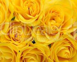 close up of yellow roses on the market
