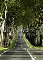 France, a small country road lined with trees