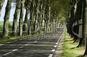 France, a small country road lined with trees