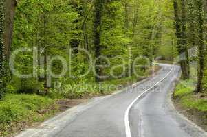 France, a small road in the country