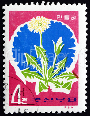 Postage stamp North Korea 1966 Dandelion, Taraxacum Officinale