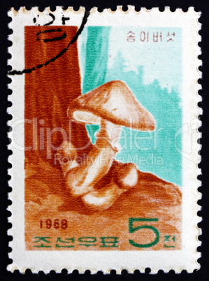 Postage stamp North Korea 1968 Matsutake Pine Mushroom