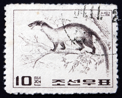 Postage stamp North Korea 1964 Yellow-throated Marten