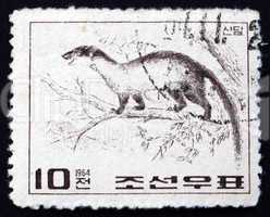 Postage stamp North Korea 1964 Yellow-throated Marten