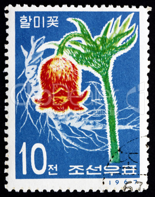 Postage stamp North Korea 1967 Korean Pasque Flower