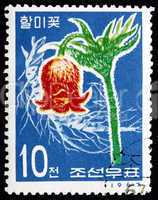 Postage stamp North Korea 1967 Korean Pasque Flower