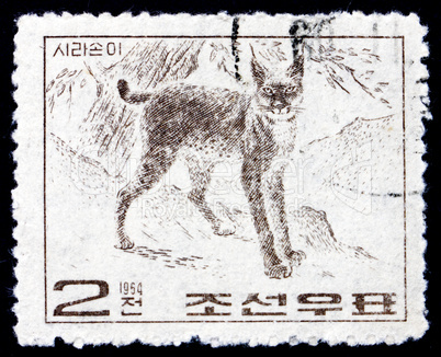 Postage stamp North Korea 1964 Wildcat, Wild Animal