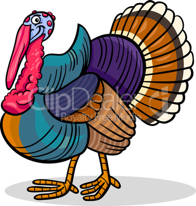 turkey farm bird animal cartoon illustration