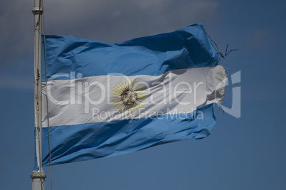 Argentinian Flag waving