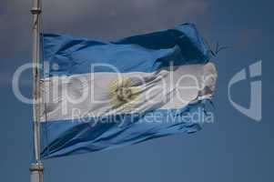 Argentinian Flag waving