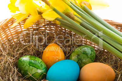 Coloured eggs