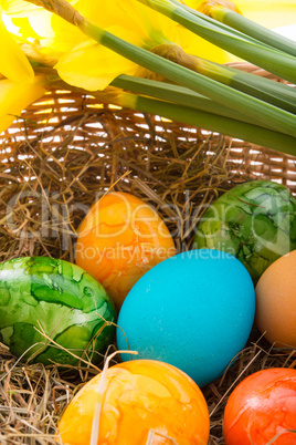 Coloured eggs