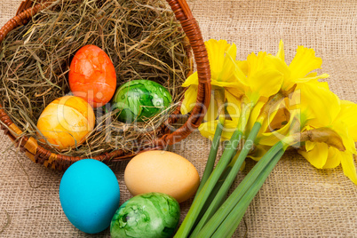 Coloured eggs