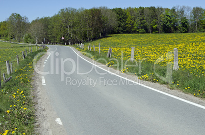 Landstraße in Schleswig-Holstein