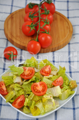 Grüner Salat mit Tomaten