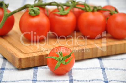 Rispen Tomaten