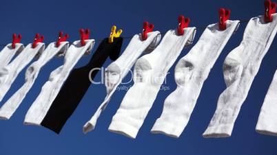 White Black Socks Blowing in Wind