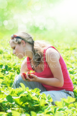 Erdbeeren pflücken