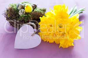 Herz mit Narzissen / heart shape with daffodils
