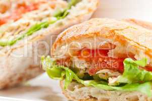 ciabatta panini sandwich with chicken and tomato