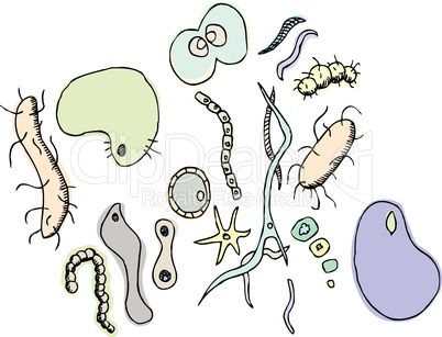 Various Bacterium