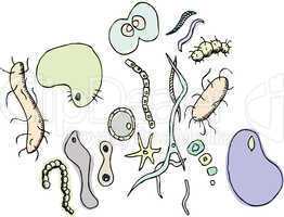 Various Bacterium