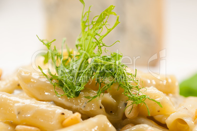 Italian pasta penne gorgonzola and pine nuts