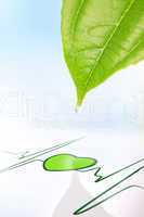 Dew drop falling from leaf onto green heart symbol on ECG line