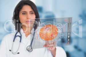 Female doctor touching a touchscreen