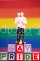 Gay groom cake topper on blocks spelling gay pride