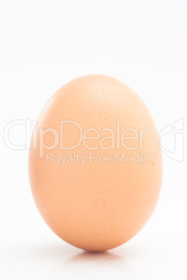 Single egg Single egg