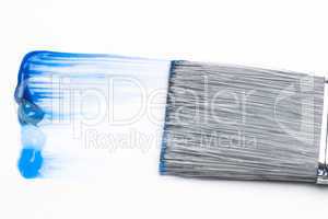 Paintbrush with blue brush stroke