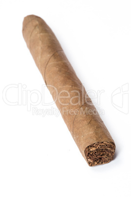 Large cigar