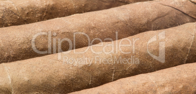 Cigars close up