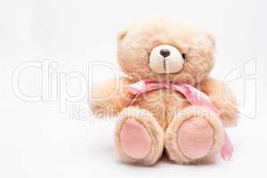 Teddy bear for a girl