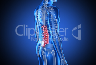 Digital blue human with highlighted spine