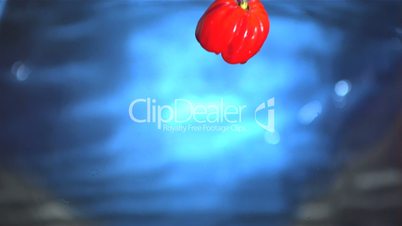 Red chili pepper falling in water