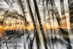 Sonnenschein im Winterwald
