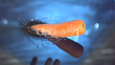 Carrot falling into water