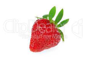 Erdbeere freigestellt - strawberry isolated 06