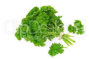 Petersilie - parsley 24