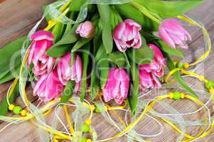 rosa Tulpen im Frühling