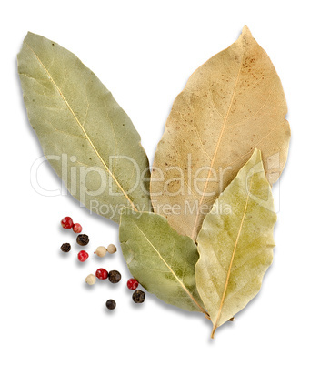 Bay leaves and spices
