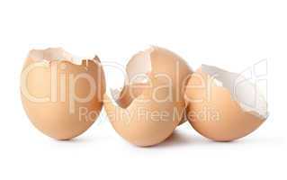 Empty eggs shell