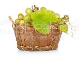 Grapes in a basket isolated