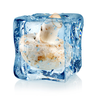 Ice cube and champignon