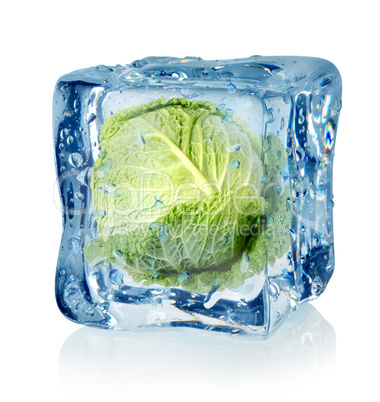 Ice cube and savoy cabbage