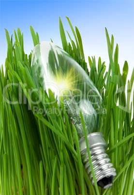 Lamp in a grass